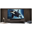 LG TV 75 inch in Black - 75UA84006LB | تلفزيون (شاشة) إل جي 75 بوصة باللون أسود - 75UA84006LB